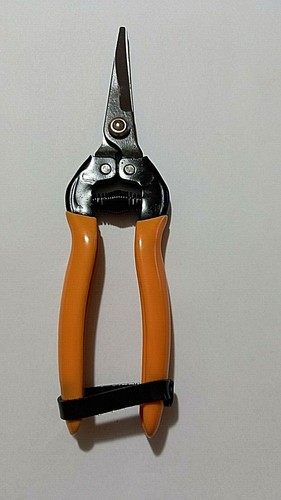 Promozione forbici per uva - promozione, 3
